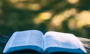 Literatura kobieca: odkryj emocje i siłę w kobietach piszących