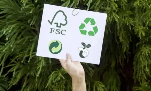 Co oznaczają symbole ekologiczne? Zrozumienie ich znaczenia dla środowiska