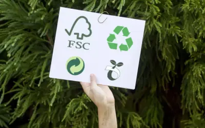 Co oznaczają symbole ekologiczne? Zrozumienie ich znaczenia dla środowiska
