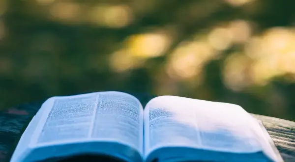 Literatura kobieca: odkryj emocje i siłę w kobietach piszących