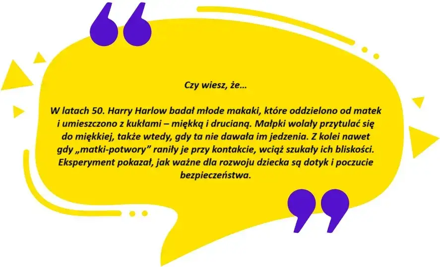 Zdjęcie Książki które zmieniają życie - odkryj, jak zmienić swoje myślenie